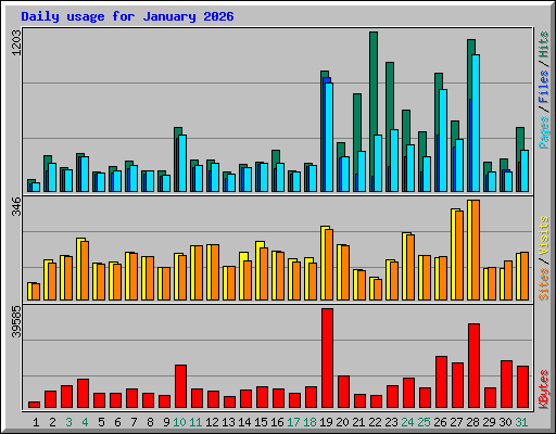Daily usage for January 2026