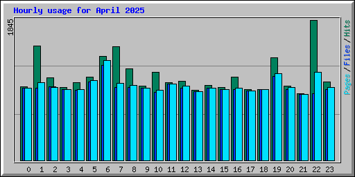 Hourly usage for April 2025