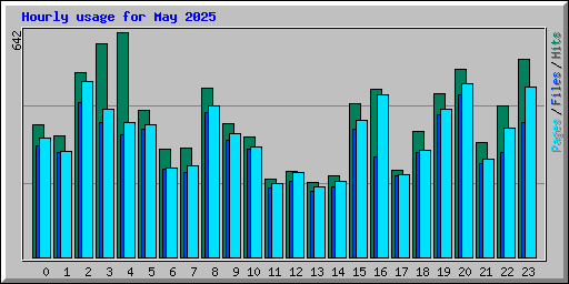 Hourly usage for May 2025