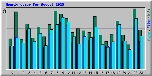 Hourly usage for August 2025