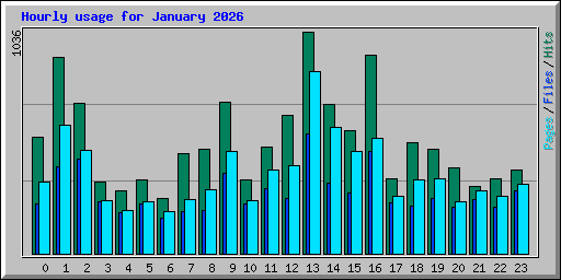Hourly usage for January 2026