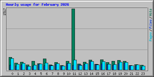 Hourly usage for February 2026