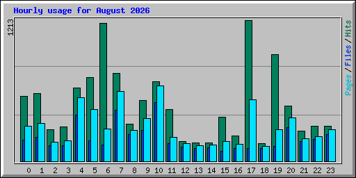 Hourly usage for August 2026